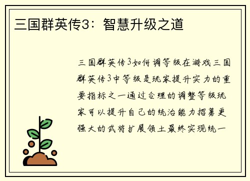三国群英传3：智慧升级之道